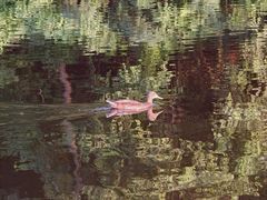 -前关湿地公园