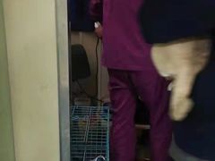 -A猫a狗全科·犬猫异宠·芥西宠物医院(南开总院)