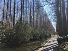 -上海怡沁园度假酒店