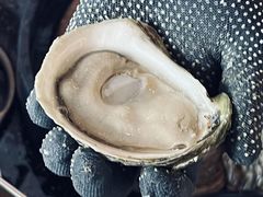 -斯普汇生蚝牛排馆(中骏世界城店)