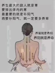 -香薇妮丝女子减肥院
