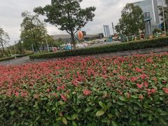 -中国西部国际博览城