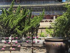 -潭柘寺景区