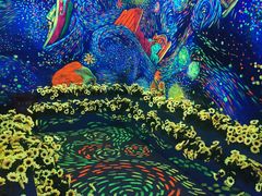 -梵高星空艺术馆(北京旗舰店)