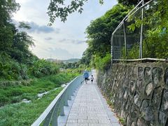 -梧桐山风景名胜区