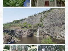 -上海辰山植物园