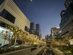 -深圳湾万象城(南山店)