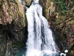 -龙湾潭国家森林公园