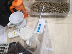 -巴厘岛黄金金兔咖啡工厂