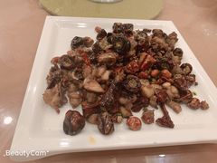 -顺峰渔港中国人的餐厅