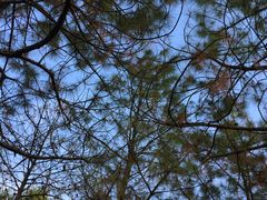 -白塘生态植物园