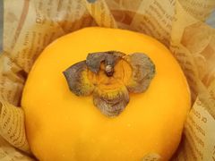 -聂发财重庆江湖菜(解放碑店)