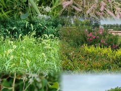 -渭河城市绿地运动公园