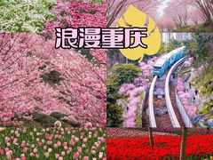 -龙头寺公园