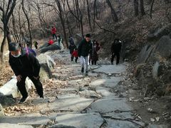 -阳台山自然风景区