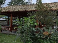 -胖大姐黄辣丁鱼庄(新津店)