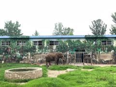 -西安秦岭野生动物园