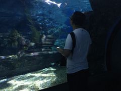 -暹罗海洋世界