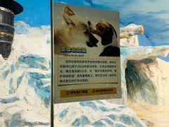 -哈尔滨极地公园