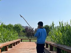 -汉长安城未央宫国家考古遗址公园