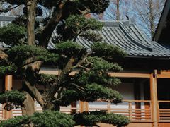 -径山寺