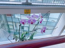 -沈阳市妇婴医院