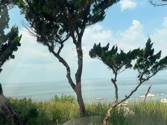 -养马岛旅游度假区