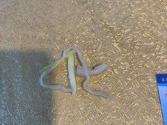 -孙家面馆(小康城店)