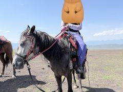 -新疆那拉提国家旅游度假区