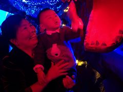 -芜湖新华联大白鲸海洋公园