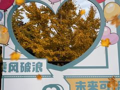 -长兴八都岕景区