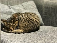 -石舍洒秀咖啡馆
