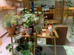 -柴务处·柴犬主题狗咖