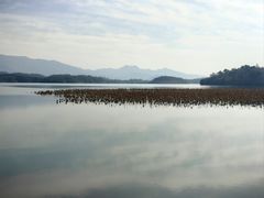 -池州市平天湖风景区