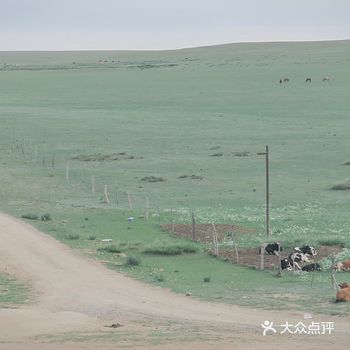 呼和浩特周边打卡—— 希拉穆仁草原