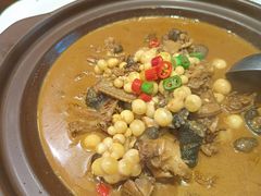 私房土甲鱼-茶叁酒肆·楚味江湖(菱角湖店)