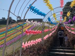 -衢州飞鸿滑草场