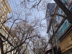 -尤素福东举院饺子馆
