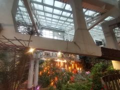 -正佳雨林生态植物园