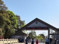 -中国大熊猫保护研究中心雅安碧峰峡基地