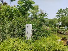 -长兴太湖图影湿地文化园