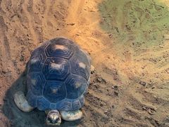 -上海大自然野生昆虫馆