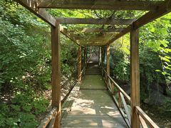 -大岭沟猕猴桃谷风景区