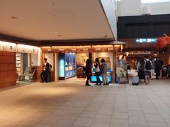 -TIAT DUTY FREE SHOP NORTH(羽田机场店)