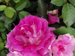 -人民公园(罗湖区)