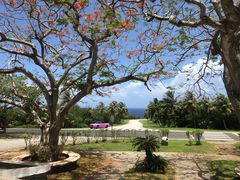 -日军最后司令部遗址