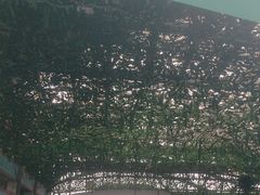-苏州湾梦幻水世界