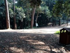 -三门江国家森林公园