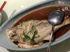 清蒸鲈鱼-青年公社烤鸭(青年路店)