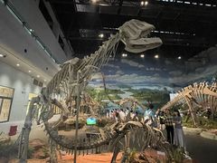 -自贡恐龙博物馆